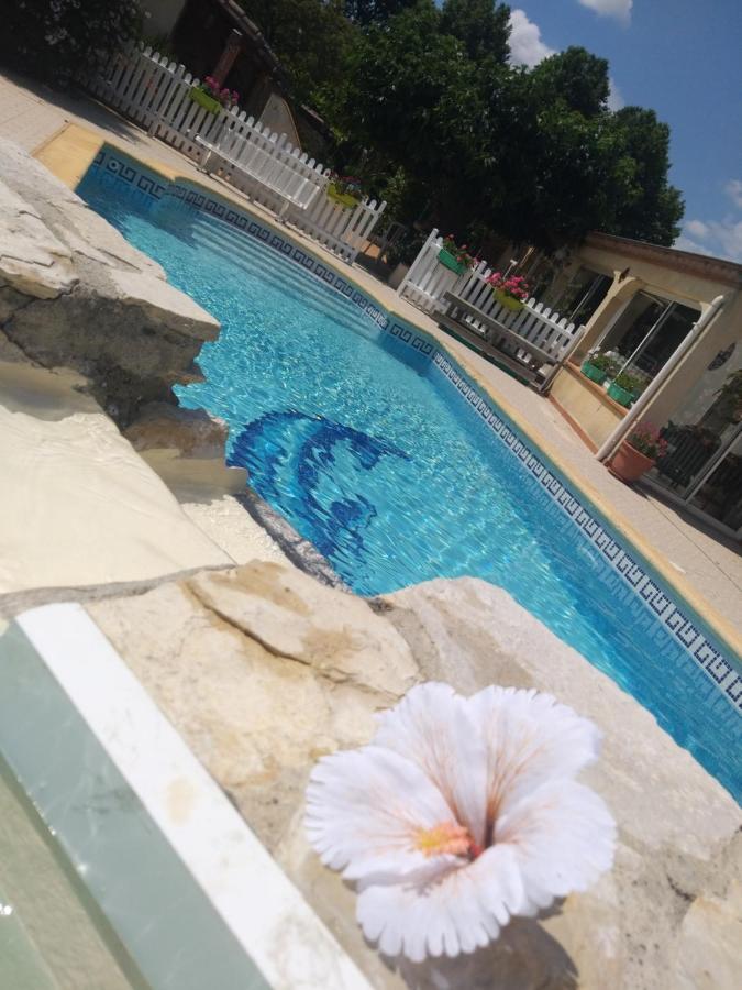 Gite T2 Avec Grande Piscine Apartment Villeneuve-la-Comptal Exterior foto